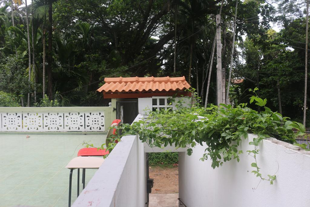 Jungle Guest House كالي المظهر الخارجي الصورة