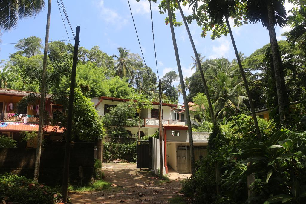Jungle Guest House كالي المظهر الخارجي الصورة