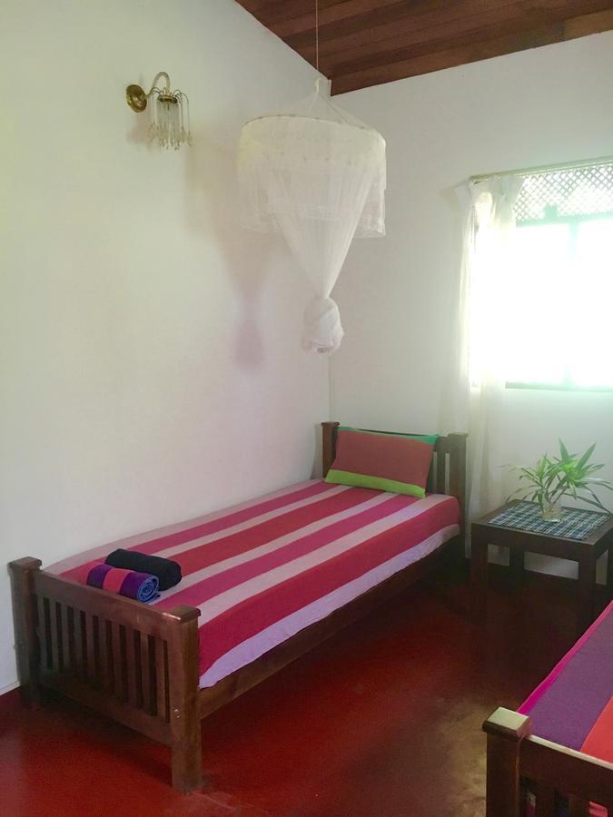 Jungle Guest House كالي المظهر الخارجي الصورة