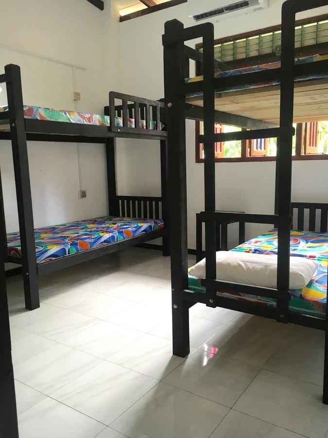 Jungle Guest House كالي المظهر الخارجي الصورة