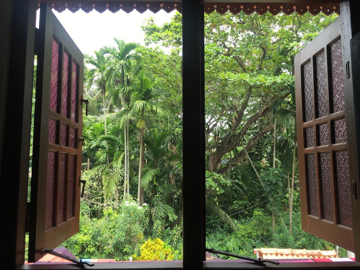 Jungle Guest House كالي المظهر الخارجي الصورة